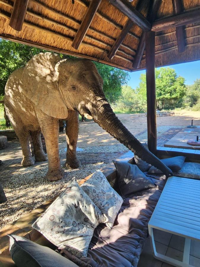 Twiga Lodge Mabalingwe Bela-Bela Extérieur photo